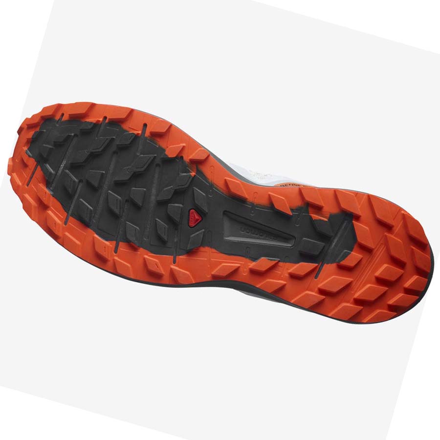 Salomon SENSE RIDE 4 Trail Futócipő Férfi Bézs Szürke | HU 2135NWY